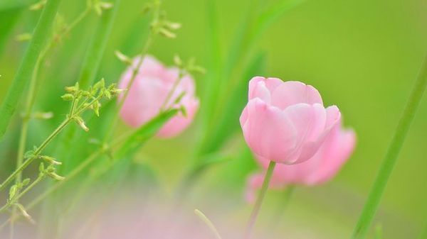 1ff157d24d1d51e99e325d7be969a5eb0377d7692fe5f-3XOE5J_fw658.jpg